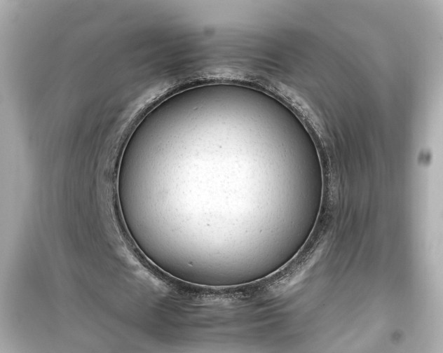 X0000099490625200805221339