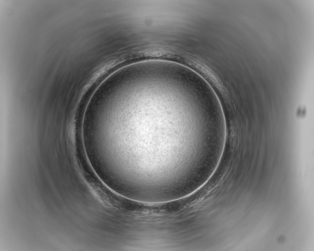 X0000099490626200805221339