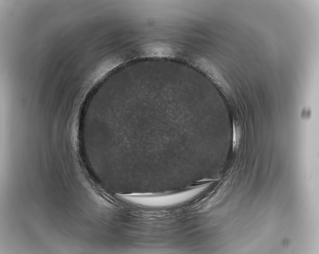 X0000099490627200805221339