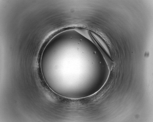 X0000099490628200805221339