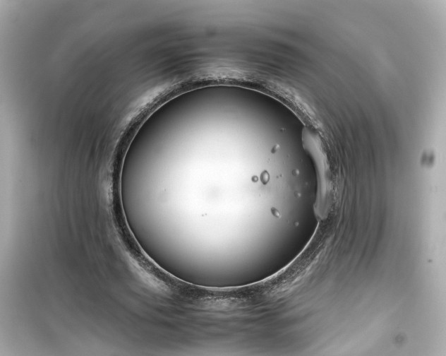X0000099490629200805221339