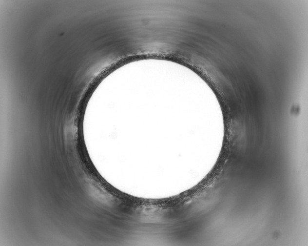 X0000099490632200805221339