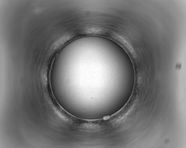 X0000099490633200805221339