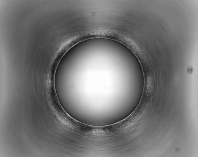 X0000099490636200805221339