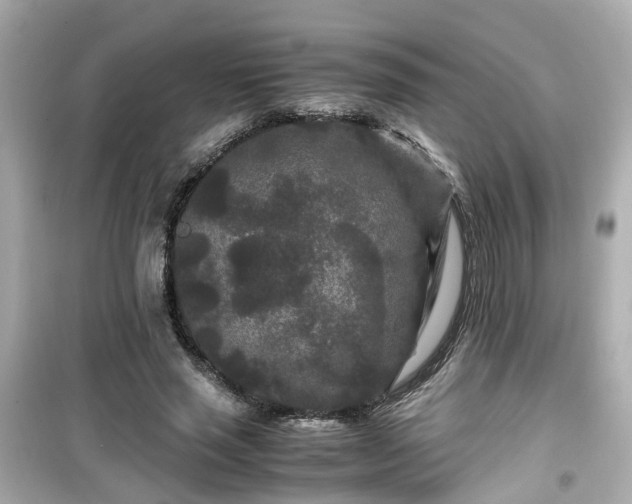 X0000099490637200805221339