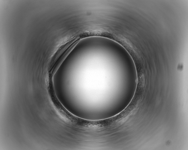 X0000099490638200805221339