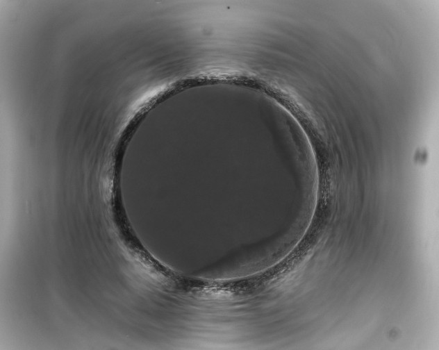 X0000099490640200805221339