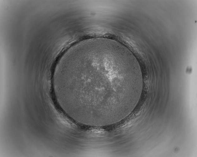 X0000099490642200805221339