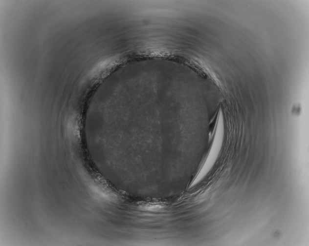 X0000099490643200805221339