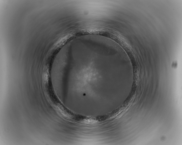 X0000099490644200805221339