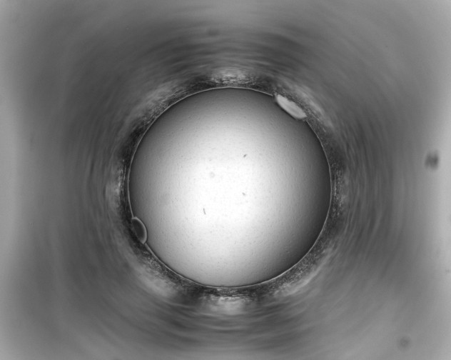 X0000099490645200805221339