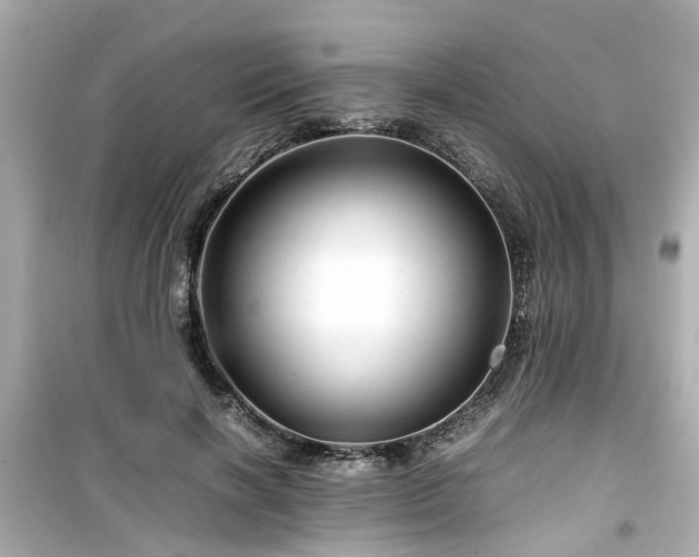 X0000099490646200805221339