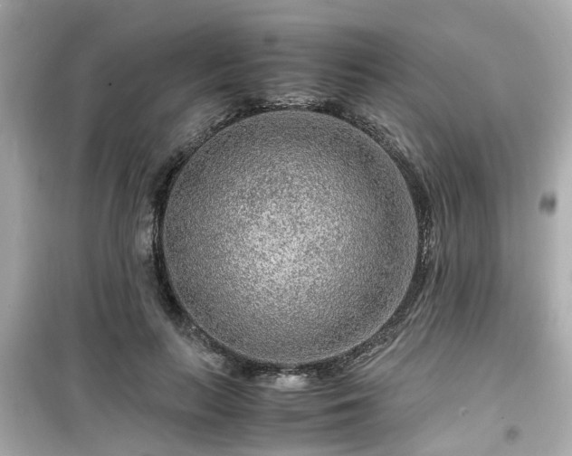 X0000099490647200805221339