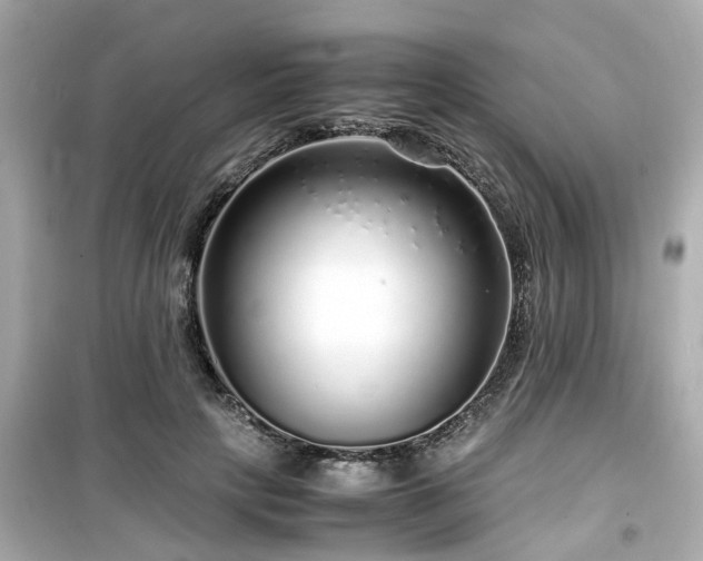 X0000099490649200805221339