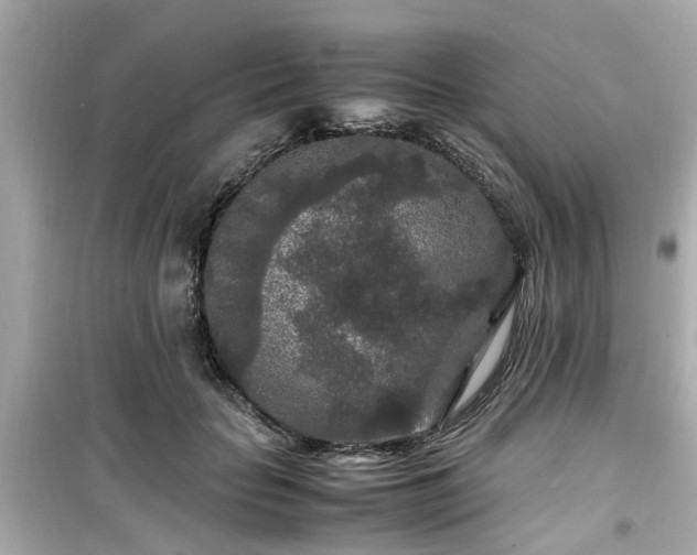 X0000099490653200805221339