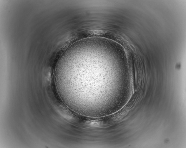 X0000099490655200805221339