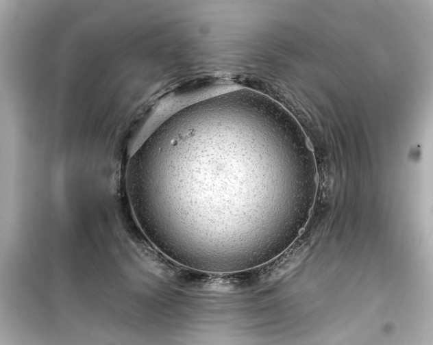 X0000099490656200805221339