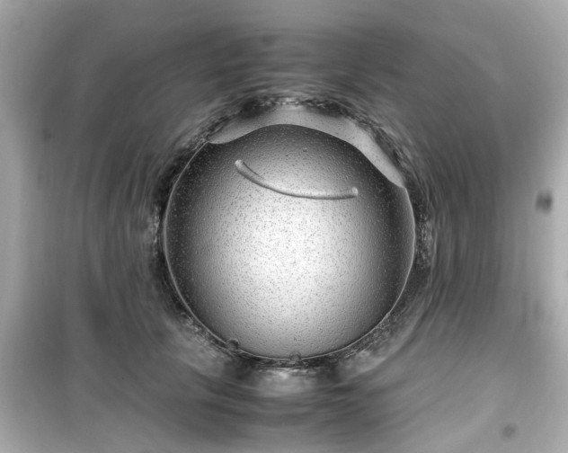 X0000099490657200805221339