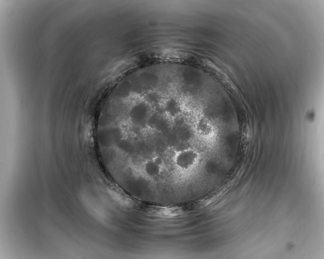 X0000099490663200805221339