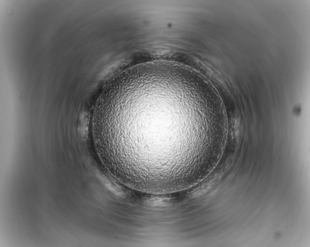 X0000099490664200805221339