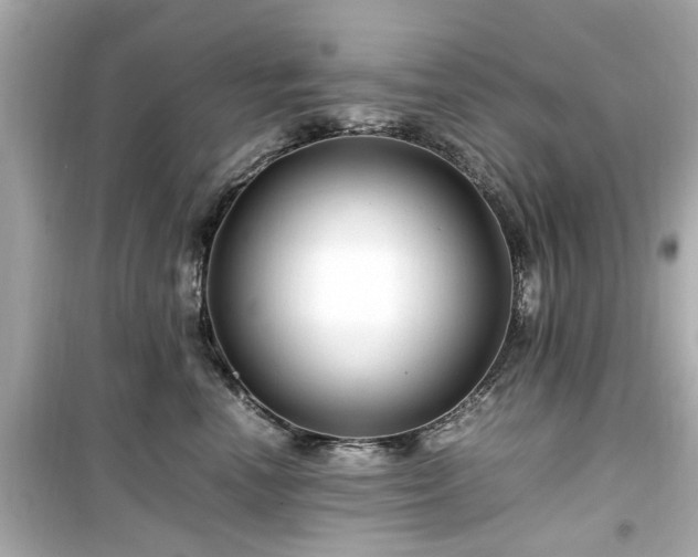 X0000099490666200805221339
