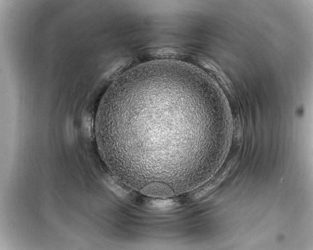 X0000099490669200805221339