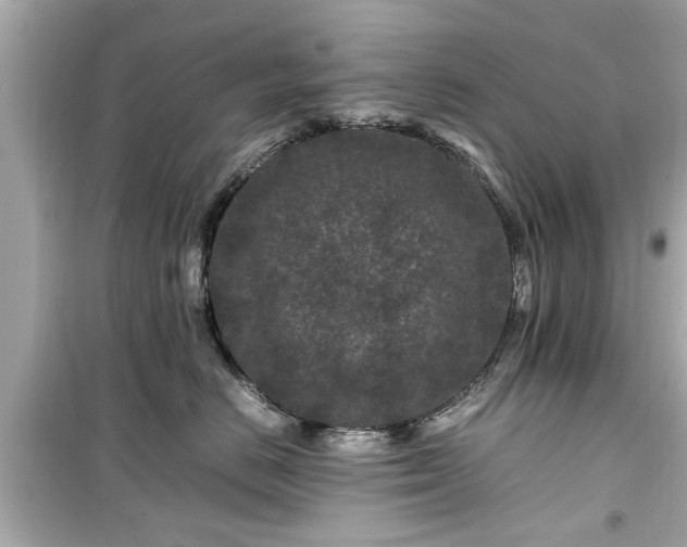 X0000099490670200805221339