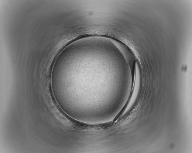 X0000099490673200805221339