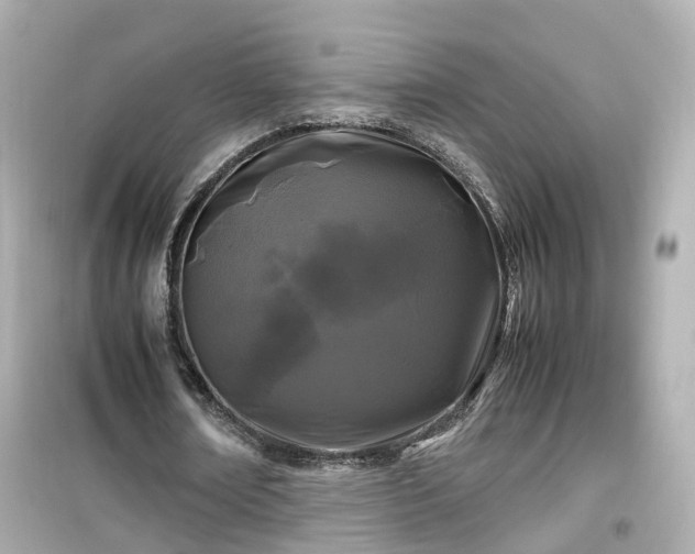X0000099490674200805221339