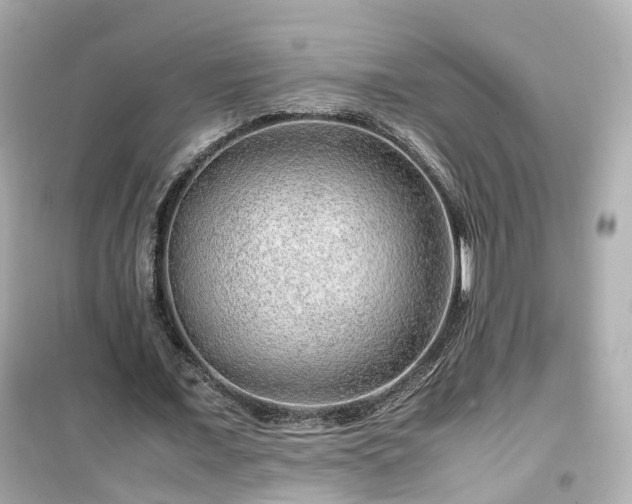 X0000099490675200805221339
