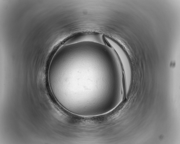 X0000099490677200805221339