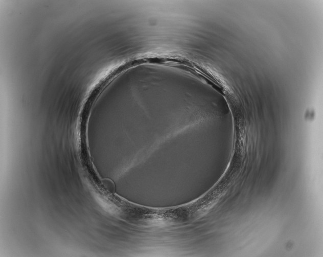 X0000099490678200805221339