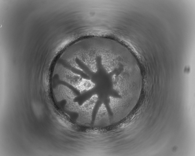 X0000099490679200805221339
