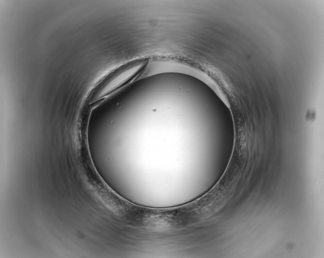 X0000099490680200805221338