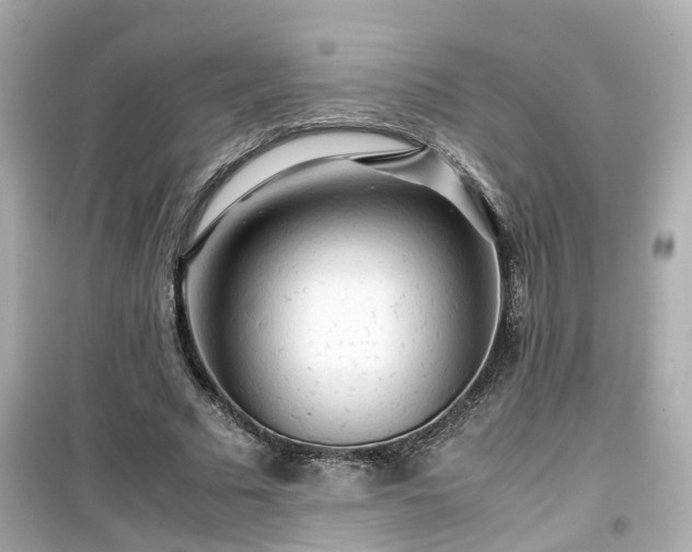 X0000099490681200805221338