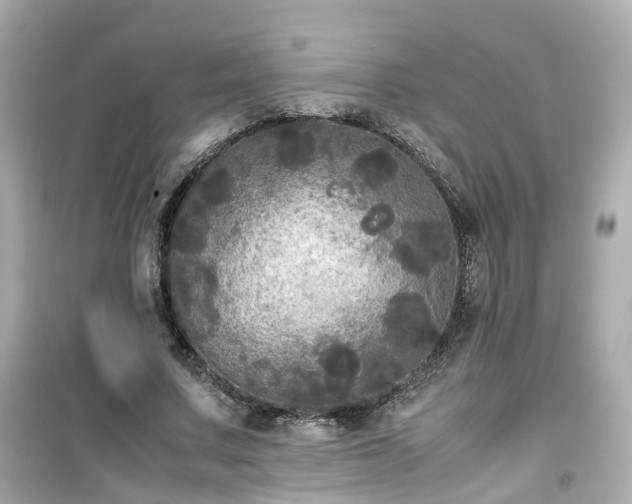X0000099490683200805221338