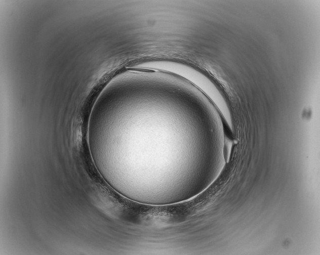 X0000099490685200805221338