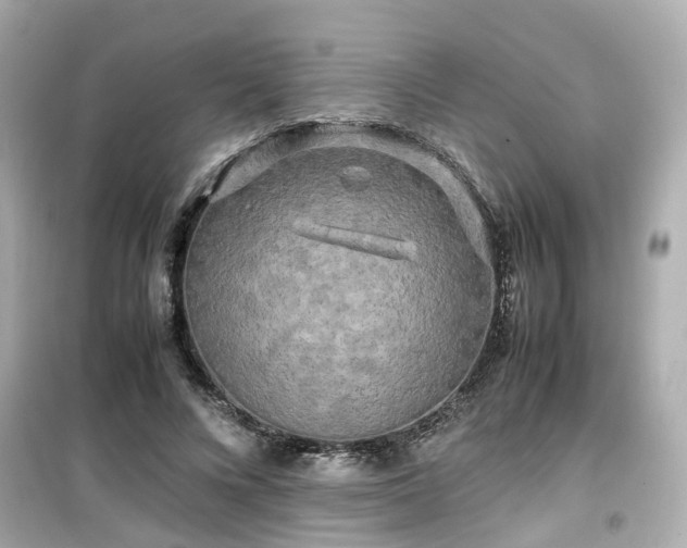 X0000099490688200805221338