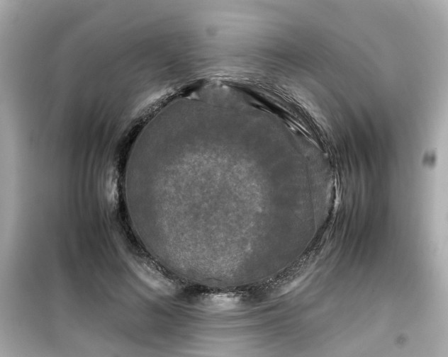 X0000099490692200805221338
