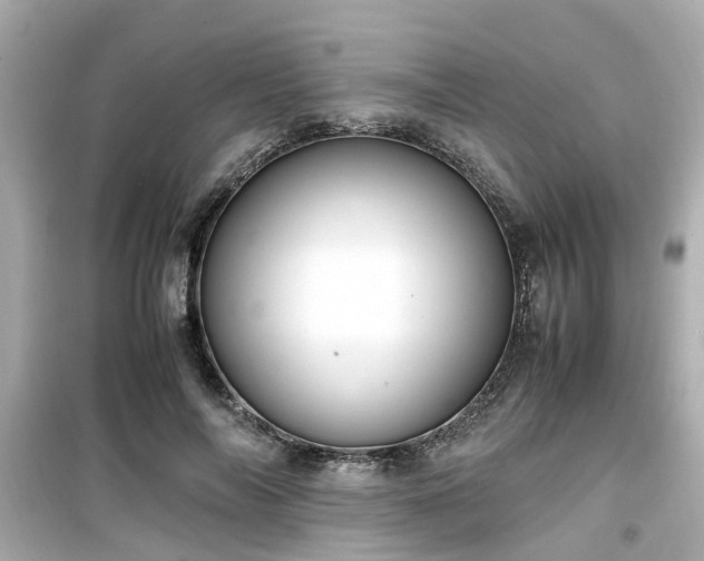 X0000099490694200805221338