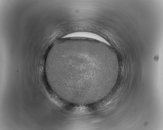 X0000099490695200805221338