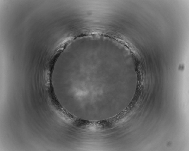 X0000099490696200805221338