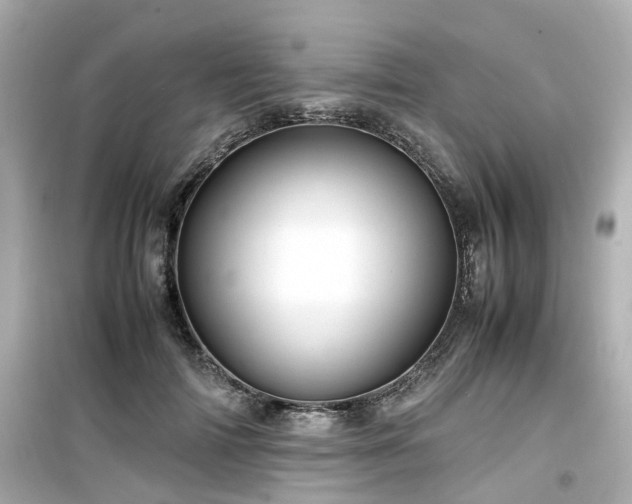 X0000099490698200805221338