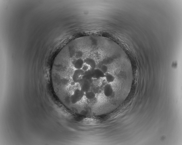 X0000099490699200805221338