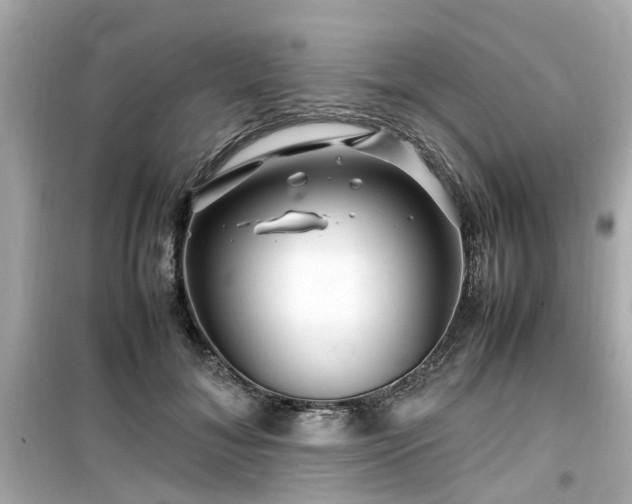 X0000099490700200805221338