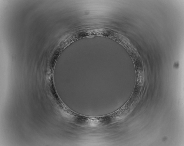 X0000099490701200805221338