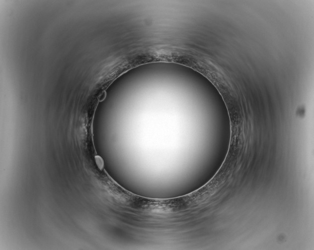 X0000099490702200805221338