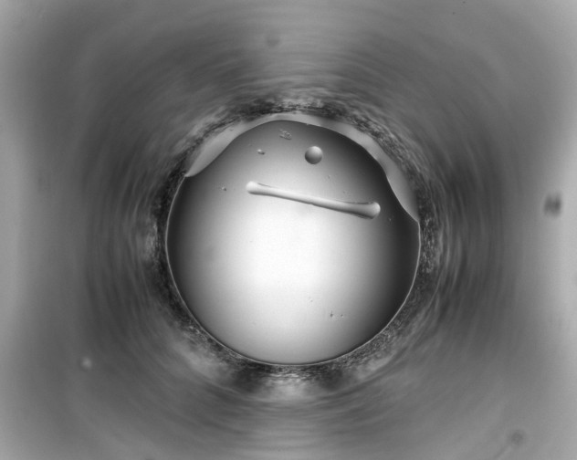 X0000099490704200805221338
