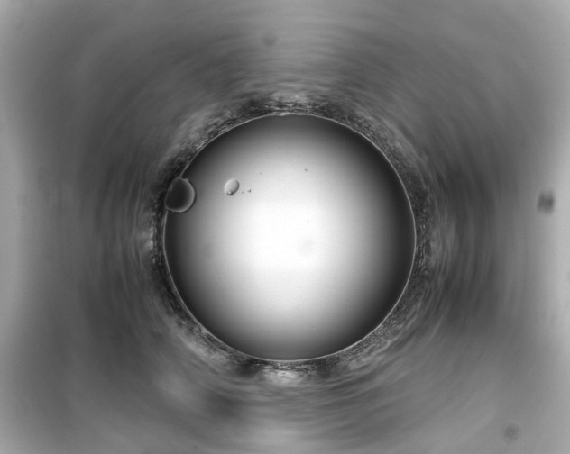 X0000099490706200805221338