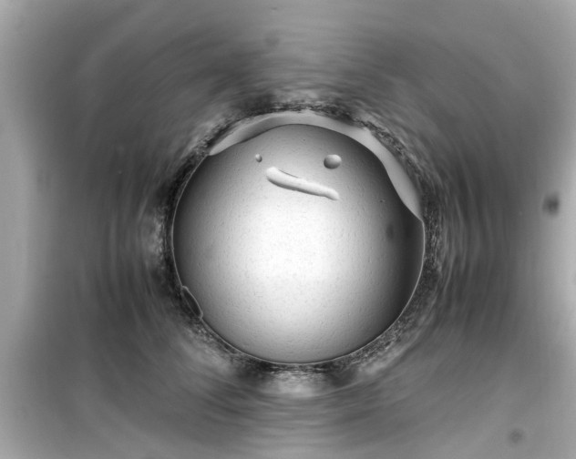 X0000099490708200805221338